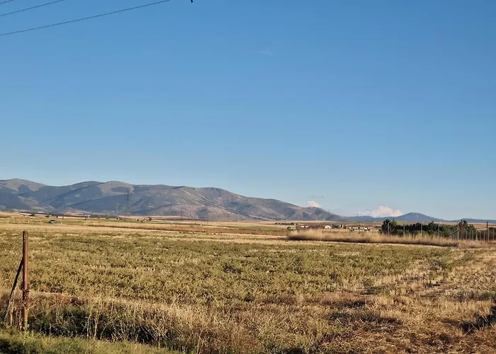 Natillas Con V - Martin Miguel